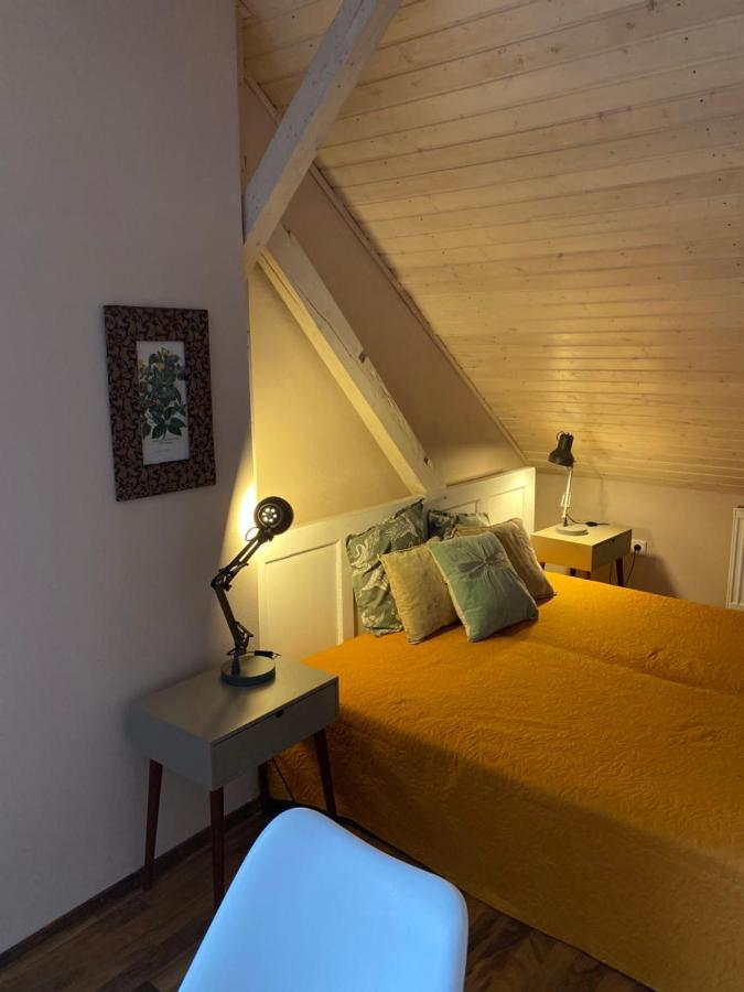 Apartmany Rudik Železná Ruda Exteriör bild