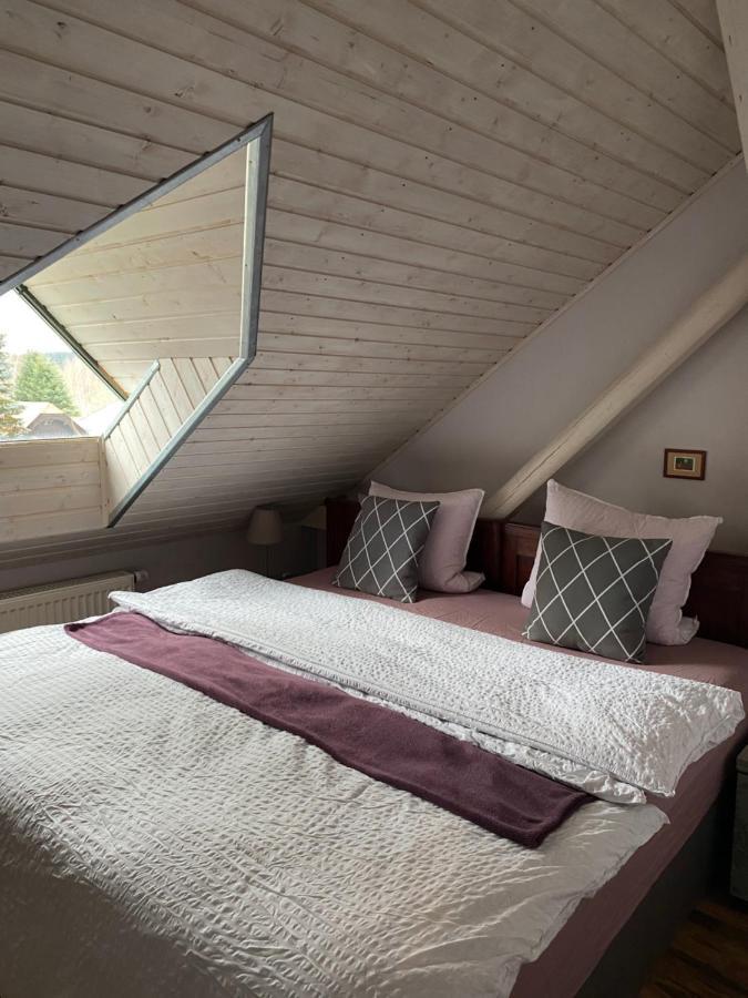 Apartmany Rudik Železná Ruda Exteriör bild