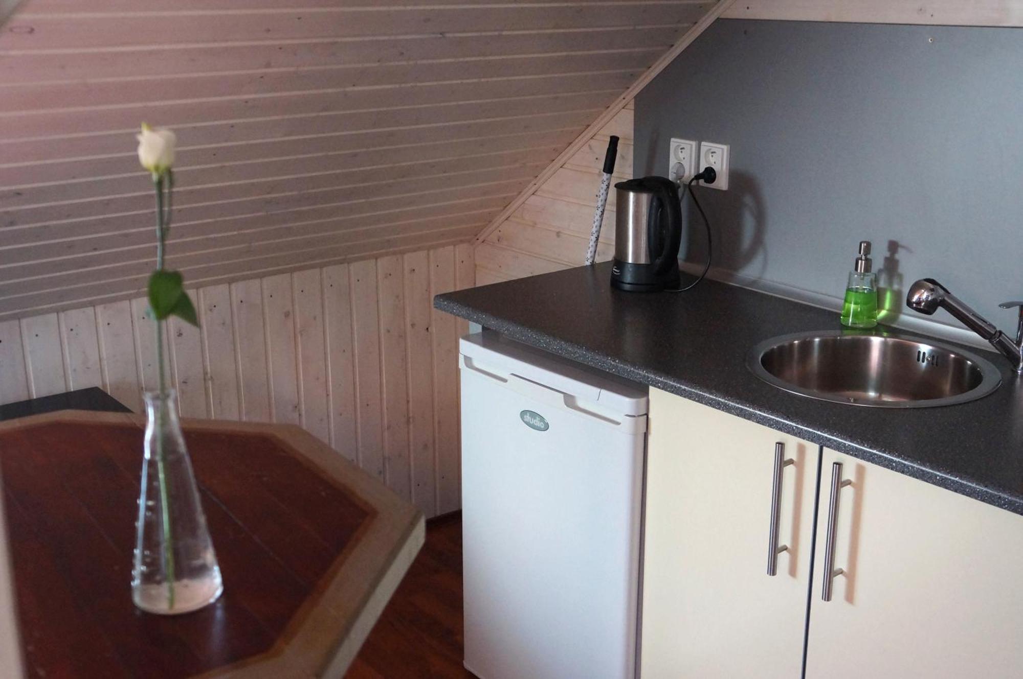 Apartmany Rudik Železná Ruda Rum bild